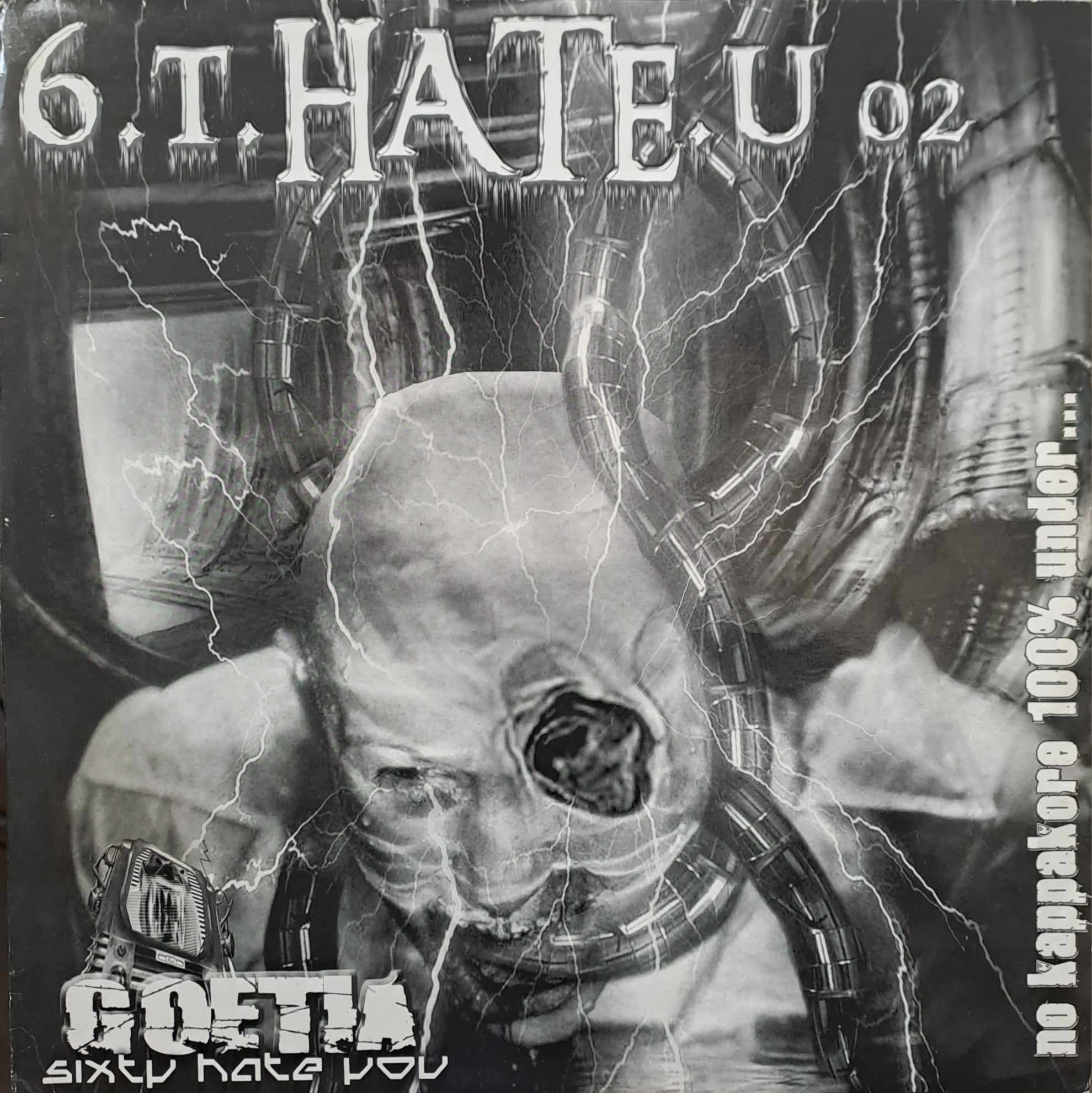 6.T.Hate.U 02 - vinyle hardcore